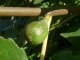 s7300347.jpg
