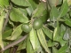 s7300348.jpg