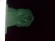 s7300443.jpg