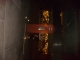 s7300453.jpg