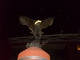 s7300456.jpg