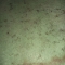 My poor hair...
