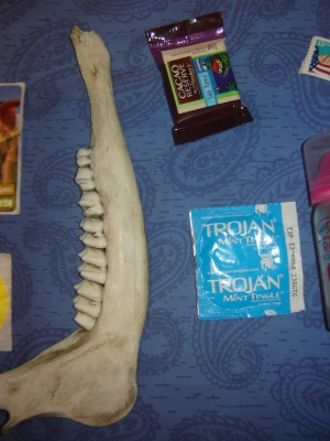 The Items Close-up The Items Close-up