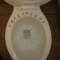 Variations on a Toilet in P Minor