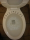 Variations on a Toilet in P Minor