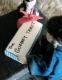 a present.JPG