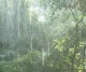 sunshowers.jpg