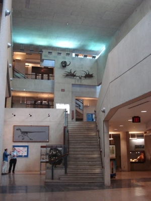 The building