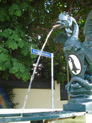 the fountains sprayed their usual steady jet;