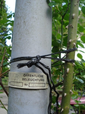 that made your absence seem a savage force,