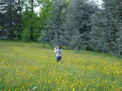 for under all the gentleness there came