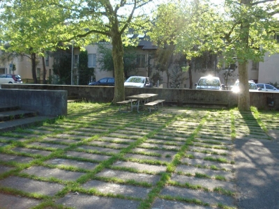 The thoughtless birds that shook out of the trees,