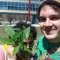 Potted Plant Distribution by the Radical, Rather Dashing Potted Plant Distribution by the Radical, Rather Dashing