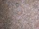CSL730455.JPG