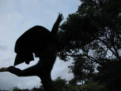 Landing
