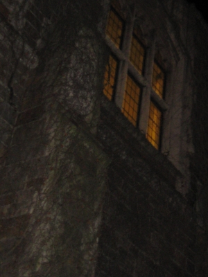 Ivy window Ivy window