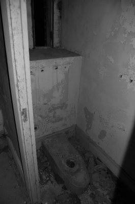 what used to be a toilet. what used to be a toilet.