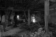 Exploring the basement
