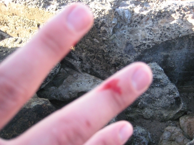 Sutro rocks are sharp