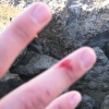 Sutro rocks are sharp