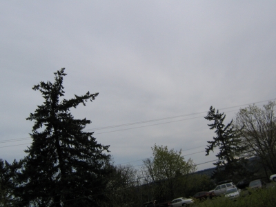 IMG_1679.JPG IMG_1679.JPG
