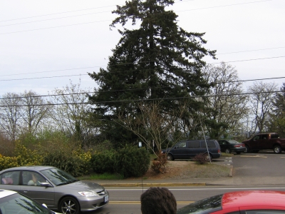 IMG_1682.JPG IMG_1682.JPG