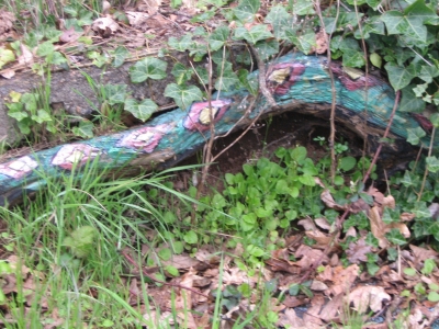 Snake on a tree Snake on a tree