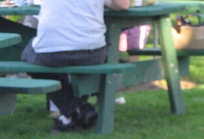 Nice looking pants