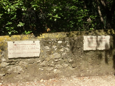 decisions, decisions