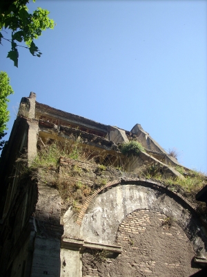 Picture 284.jpg