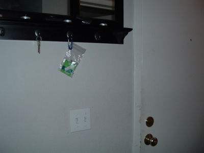 the hiding place.jpg