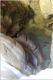 siren grotto.jpg