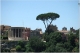 temple of the sybil.jpg
