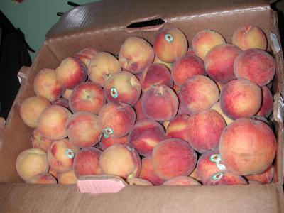 the peaches