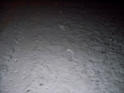 Footprints 2 Footprints 2