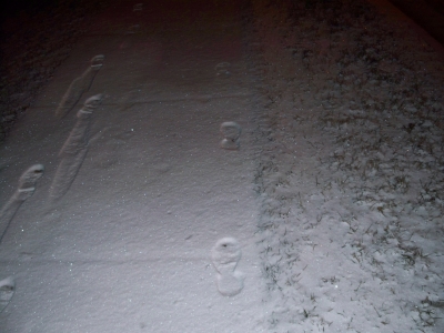 Footprints! for real! Footprints! for real!