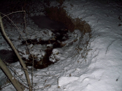 frozen pool frozen pool