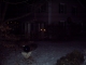 The house