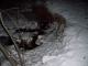 frozen pool