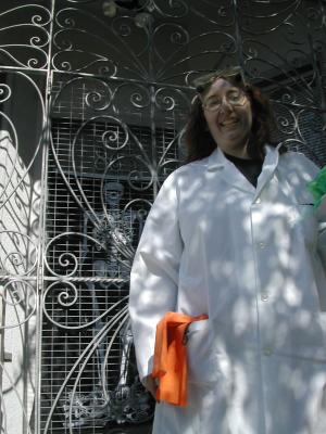 Mad Scientist at the Door Mad Scientist at the Door