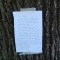 the note on the tree