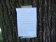 the note on the tree