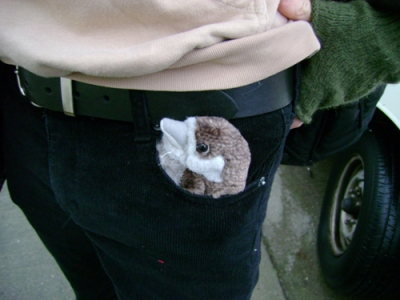 pocket.jpg