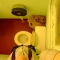 smallbath.jpg