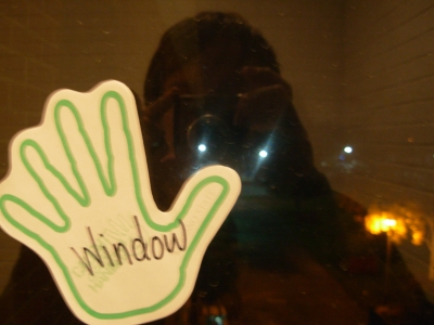 sam in a window