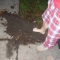 DSCN0319.JPG