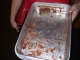 DSCN0305.JPG