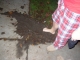 DSCN0319.JPG