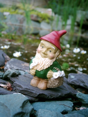 Gnome looking for a good fishing spot
