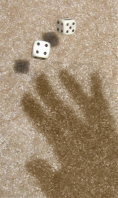 20070713120010_fling3.jpg